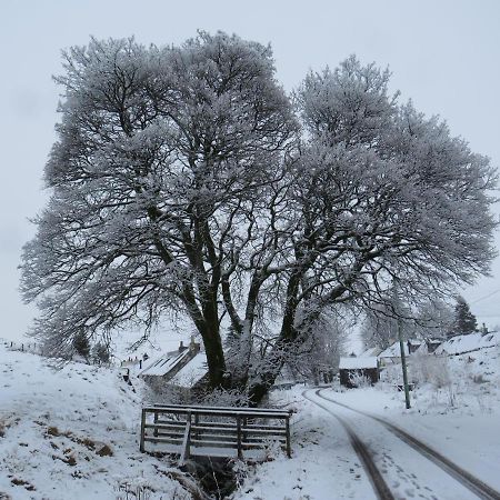 Forget Me Not Cottage Leadhills Extérieur photo